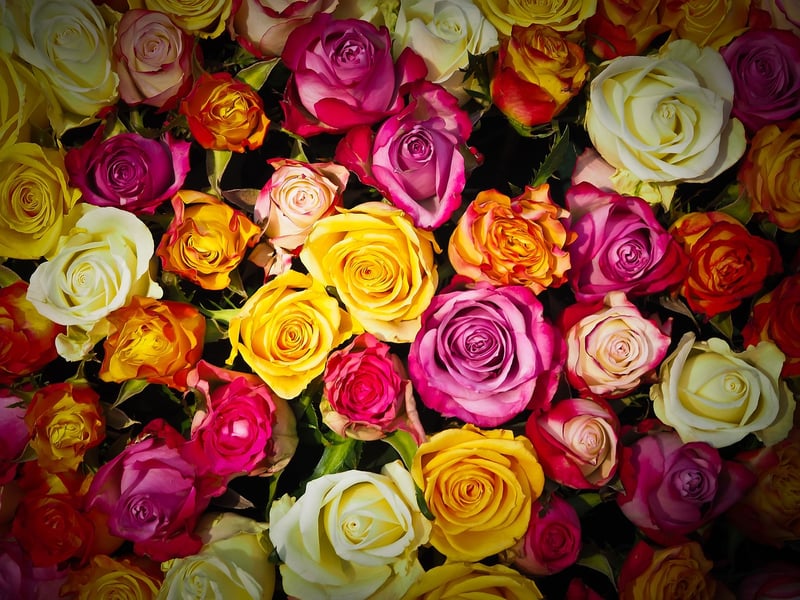 Floral Arrangements